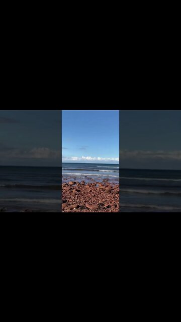 Relaxing on the beach