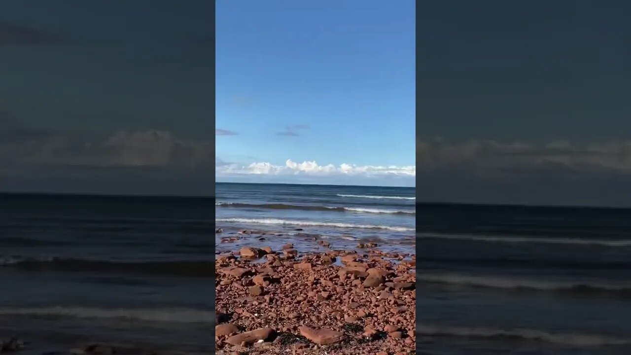 Relaxing on the beach
