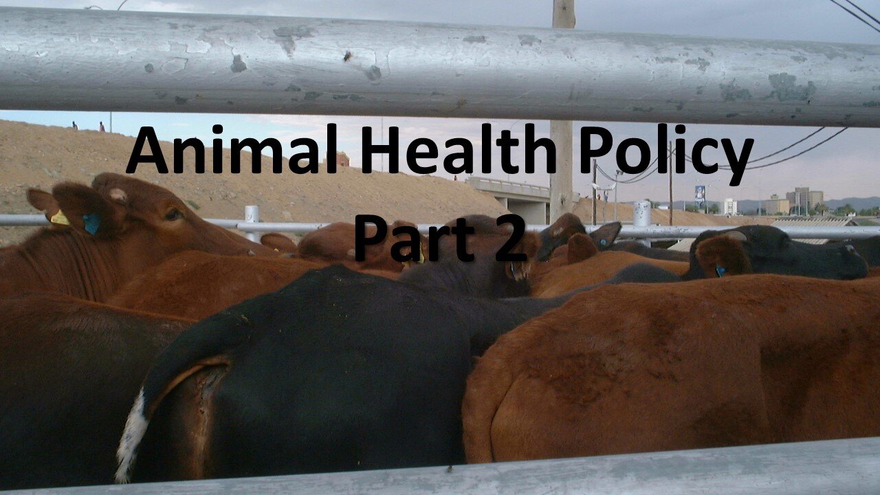 Animal Health Policy Part 2