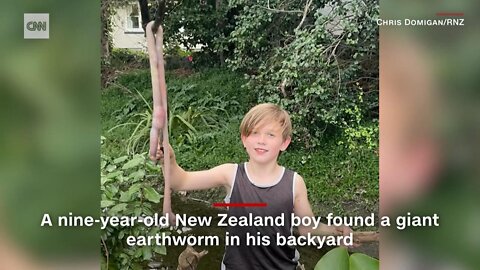 Boy Finds Fiant Earthworm in his Backyard