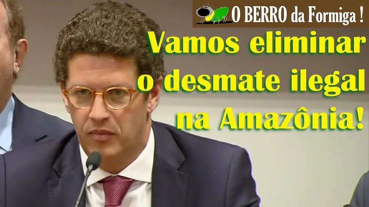 AMAZÔNIA - Min Ricardo Salles e Governadores falam com imprensa-combate ao desmatamento