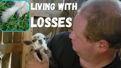 Life & Death on the Farm