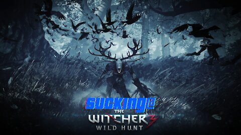 The Witcher 3: Wild Suck 2