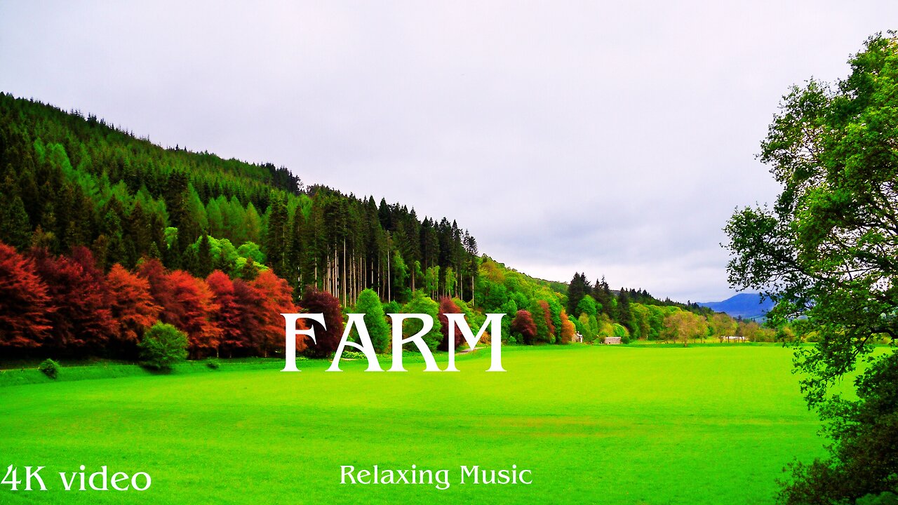 Farm Nature 4K video |Relaxing Music