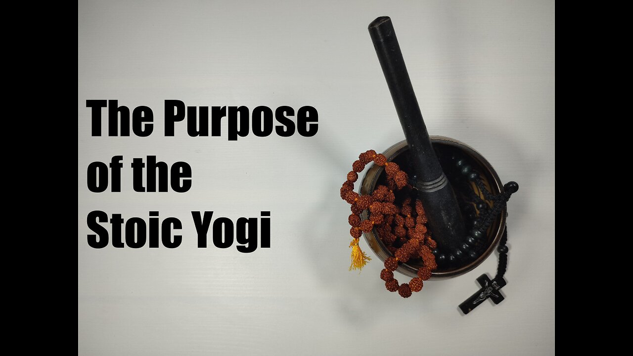 The Purpose of the Stoic Yogi