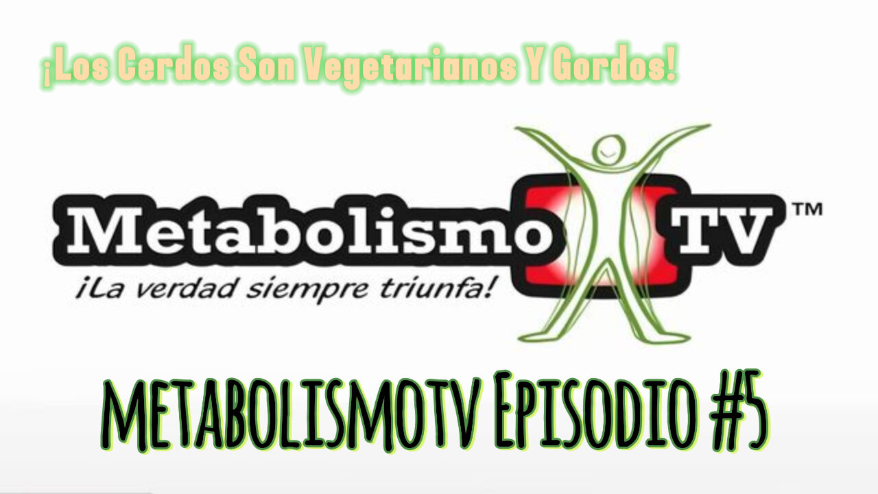 MetabolismoTV Episodio #5: ¡Los Cerdos Son Vegetarianos Y Gordos!