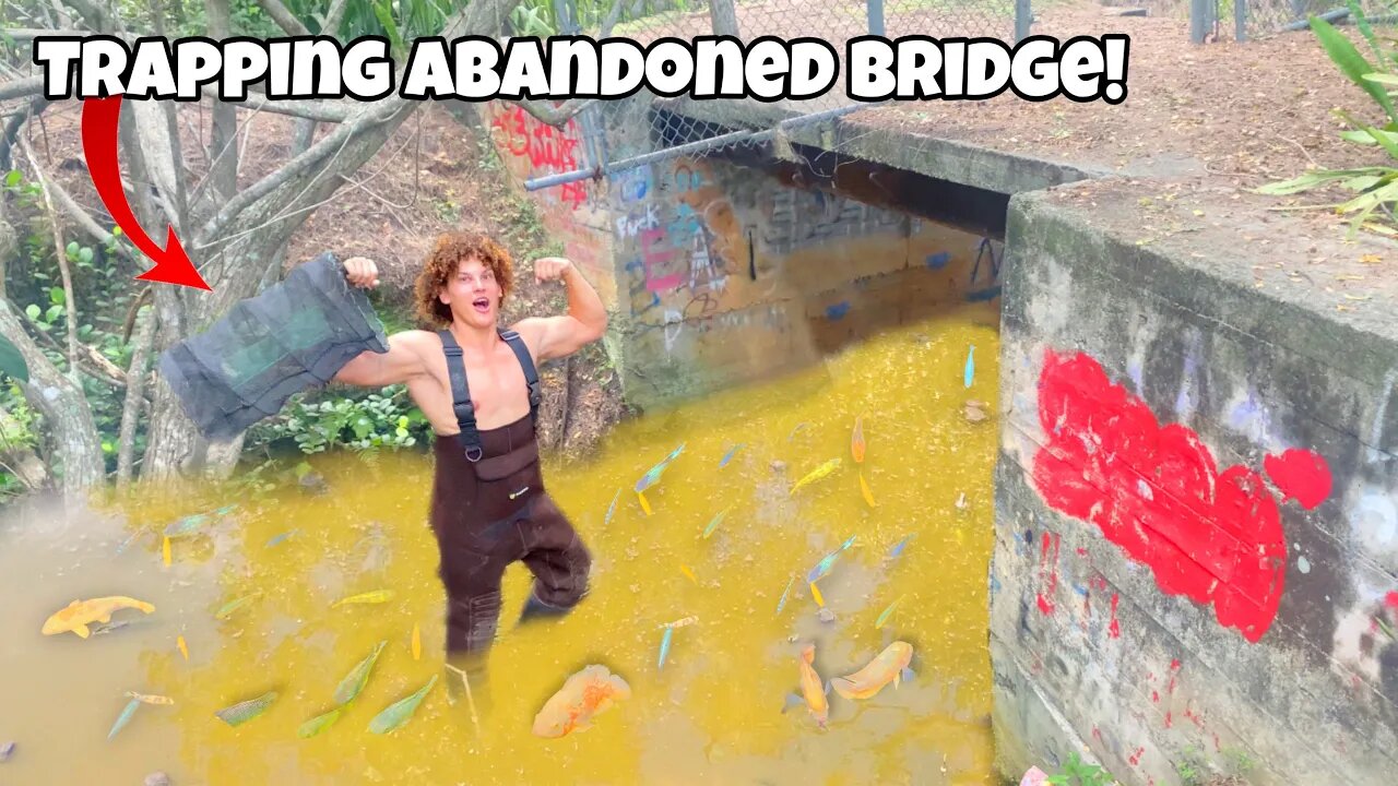 Trapping AQUARIUM FIsh From ABANDONED Bridge!