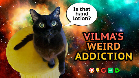 Vilma Cat Cannot Resist The Smell Of Hand Lotion