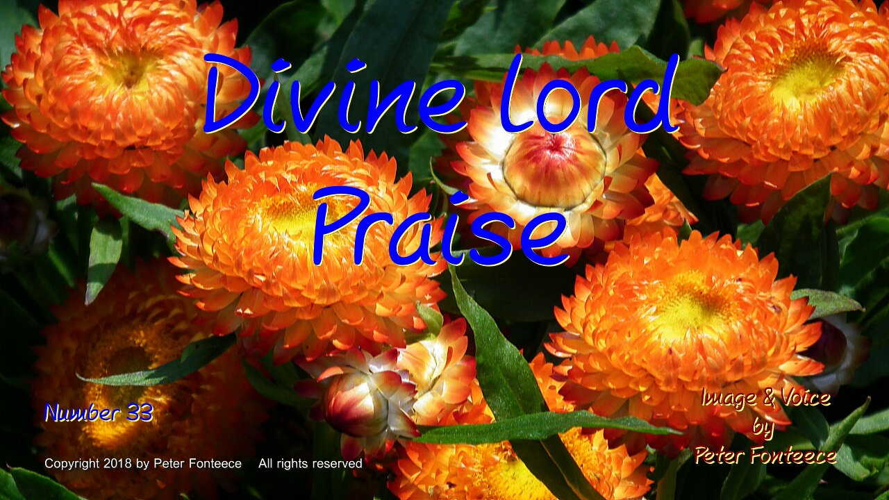 Divine Lord Praise - Number 33