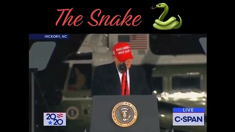 Donald Trump - The Snake