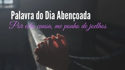 Por esta causa, me ponho de joelhos - Palavra do Dia de Hoje