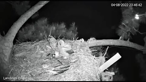 Mom Takes More Leftovers To The Other Pantry 🦉 4/8/22 23:44