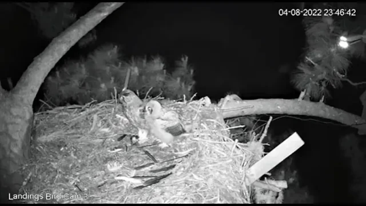 Mom Takes More Leftovers To The Other Pantry 🦉 4/8/22 23:44