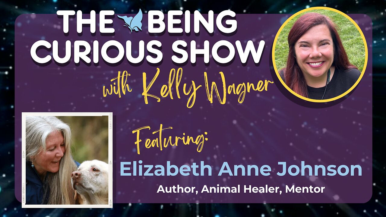 Ep 132: The Being Curious Show interviews author Elizabeth Anne Johnson