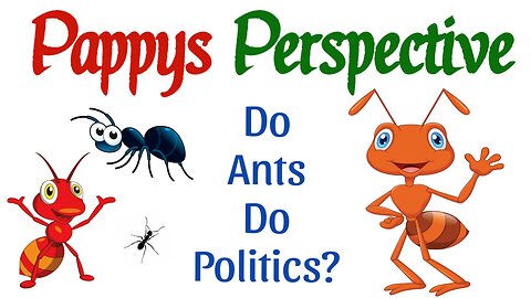 Do Ants Do Politics