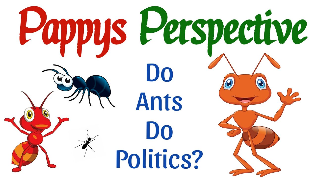 Do Ants Do Politics