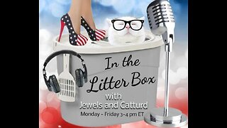 Twitter Freedom - In the Litter Box w/ Jewels & Catturd 10/28/2022 - Ep. 199