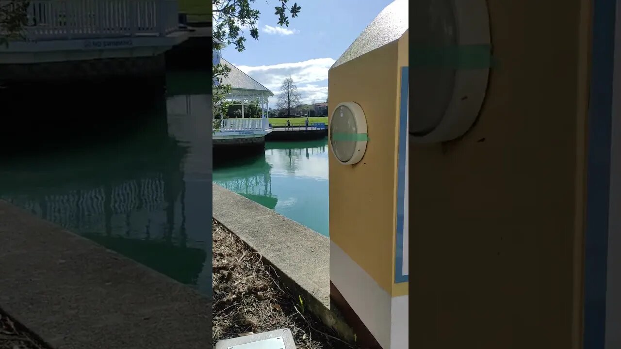 Gulf Harbour Whangaparaoa