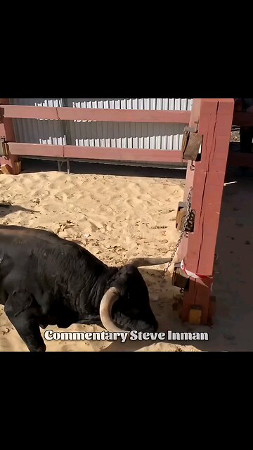 Messed with the bowl and got the horns