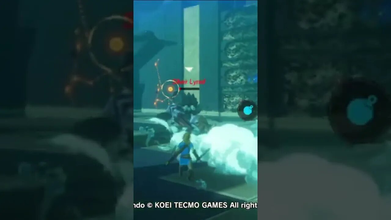 Link vs. Silver Lynel