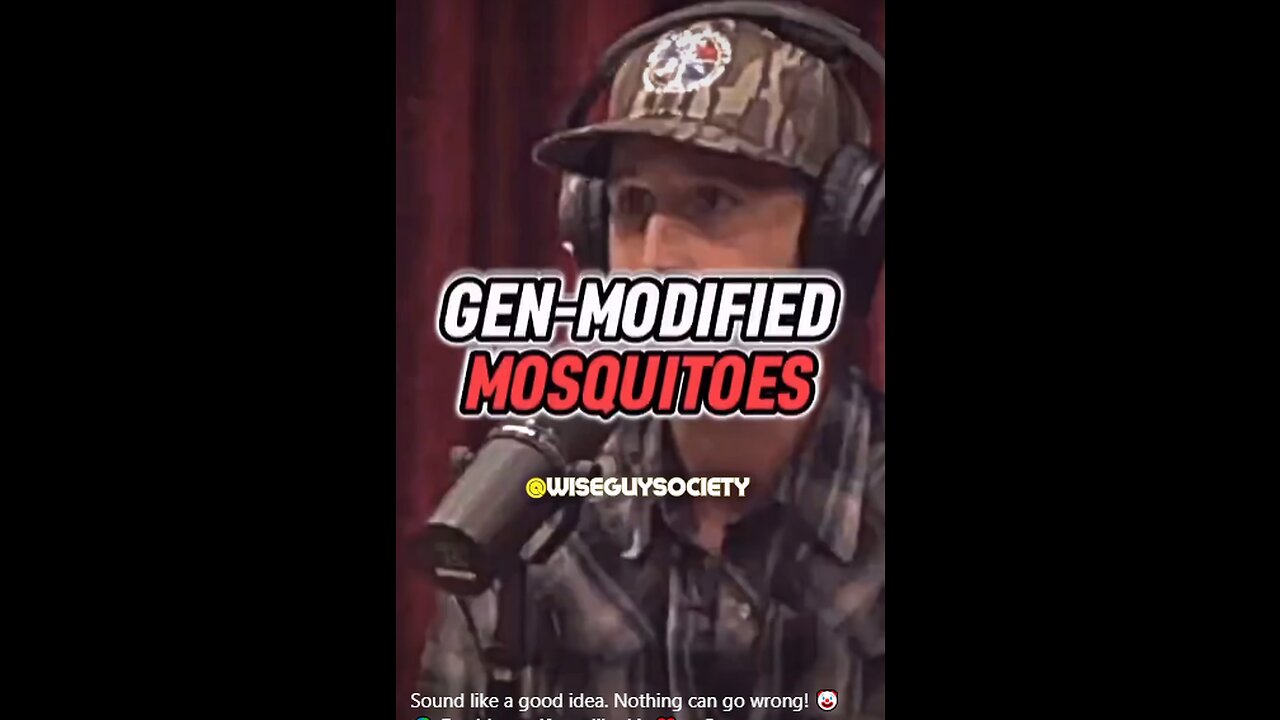 GEN-MODIFIED MOSQUITOES, SOUND LIKE A GOOD IDEA.