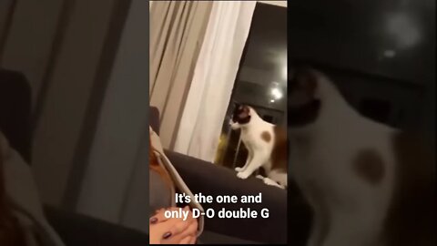 MEME is the one and only D-O double G #shorts