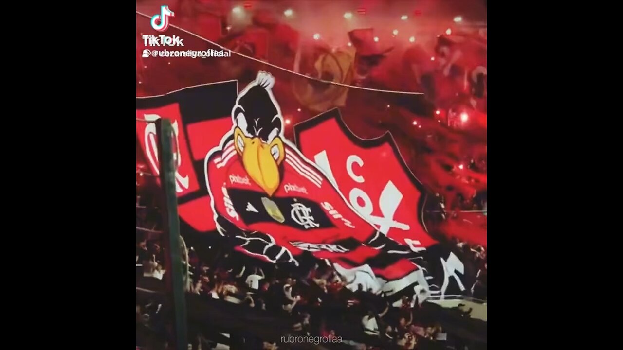 Flamengo fans in Brazil. In Rio de Janeiro. MaracanĂ£ Stadium.