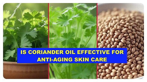 From Acne to Hydration: How Coriander Oil Can Improve Your Skin Health