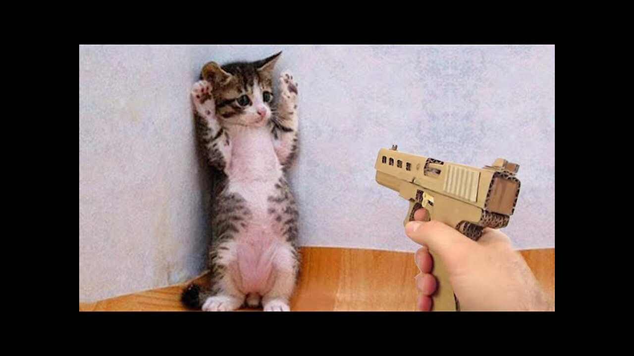 Best Funny Cats Video😅 - Funniest Animals Videos 2023