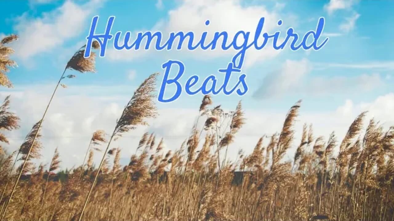 a warm wind at 20p.m. by Barradeen (No Copyright Music)