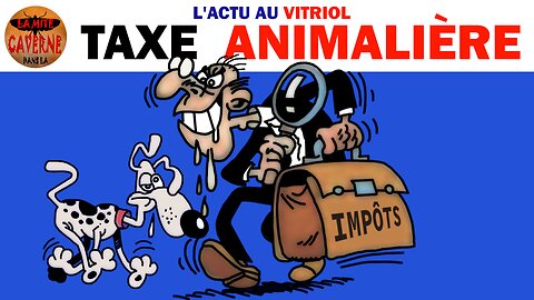 TAXE sur LES CHIENS & LES CHATS, ils y pensent… (21/10/2024)