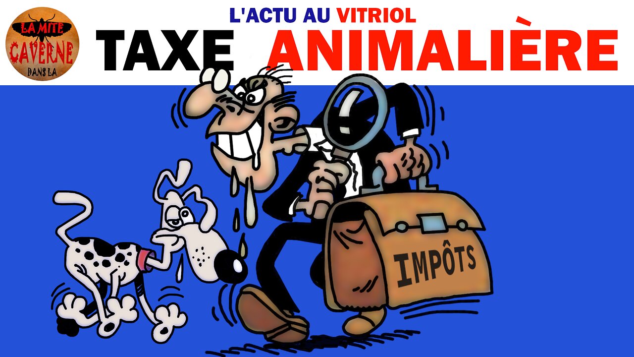 TAXE sur LES CHIENS & LES CHATS, ils y pensent… (21/10/2024)