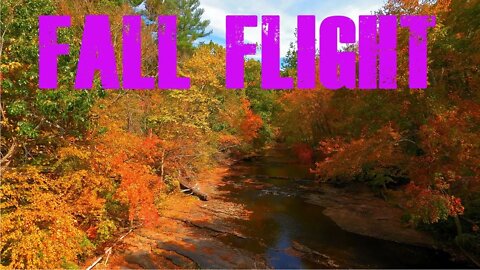 Fall Cinewhoop New England Foliage