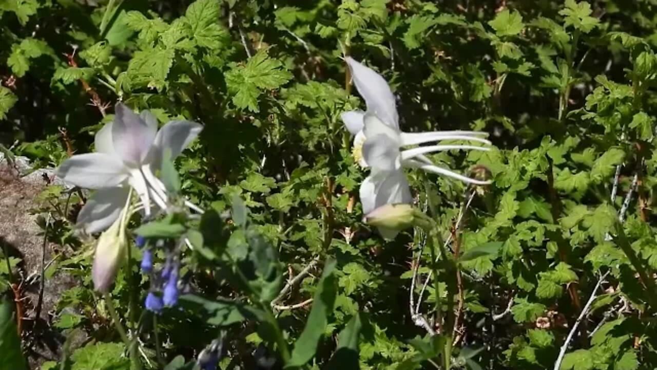 Four Years Left For Earth