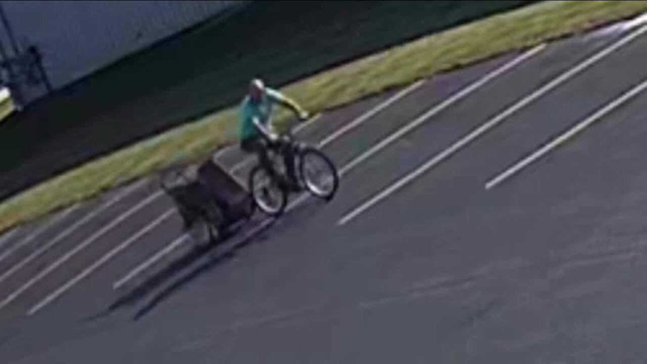 Search for person of interest in business theft