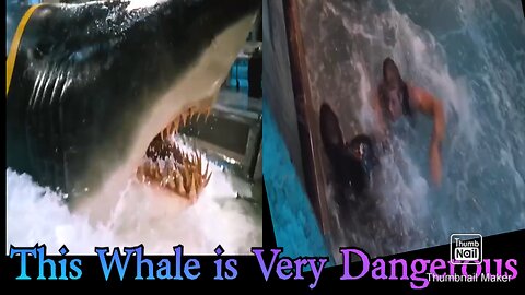 A Story of a Whale 🐟