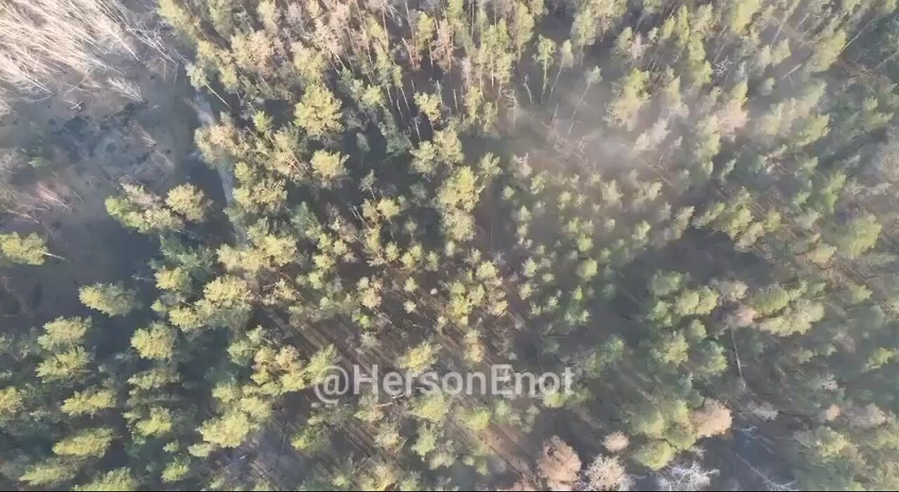 Russia Ukraine war