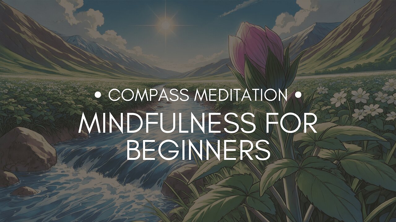 Meditation for Beginners: Start Your Mindfulness Journey