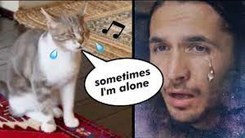 The Kiffness x Lonely Cat - Sometimes I'm Alone (Singing Cat)