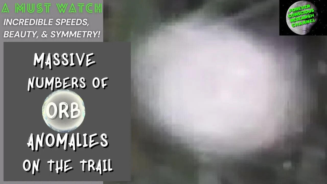 MASSIVE Groups of ORBS While Hiking In The Woods + Various Other Anomalies & Tree Spirits 12/18/20