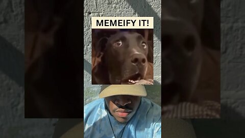 For you meme