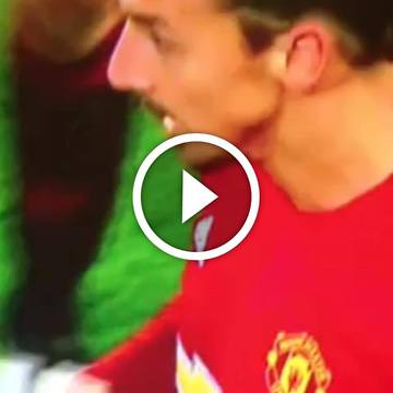 VIDEO: Zlatan removes the ref's arm...
