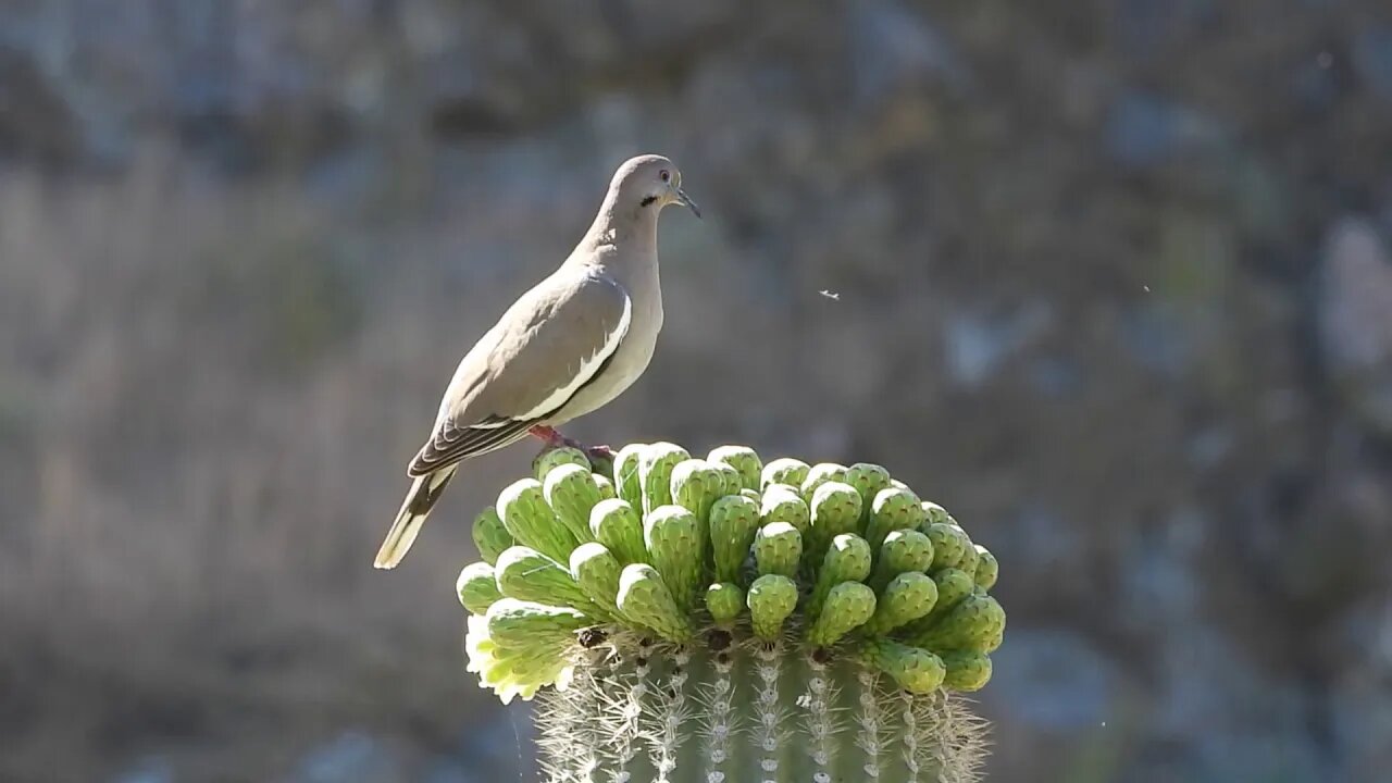 3899 Days Left For The Planet