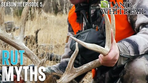 Whitetail Rut Myths | Land of Whitetail