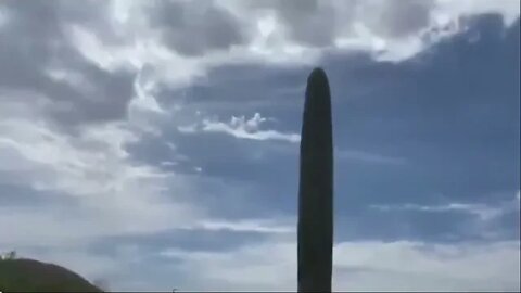JUST ANOTHER HIDDEN 5G ANTENNA NOTHING TO FEAR AT ALL !