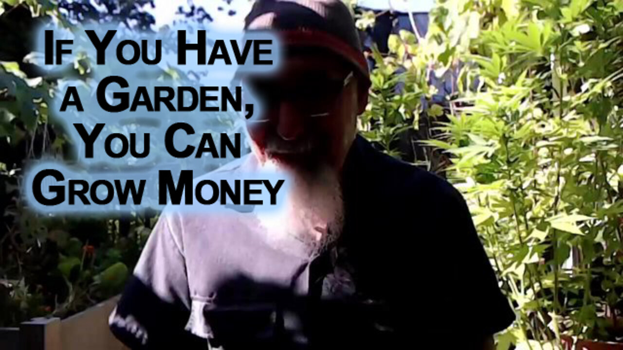 If You Have a Garden, You Can Grow Money: Personal Finance Advice