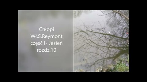 Chłopi -Wł.S.Reymont część I - Jesień rozdz.10
