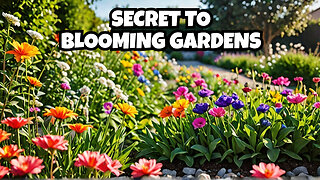 Discover the Gardening Secret to Year Round Blooms!