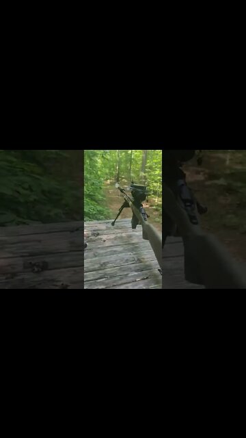 Tonight's Coyote Setup!! #shorts