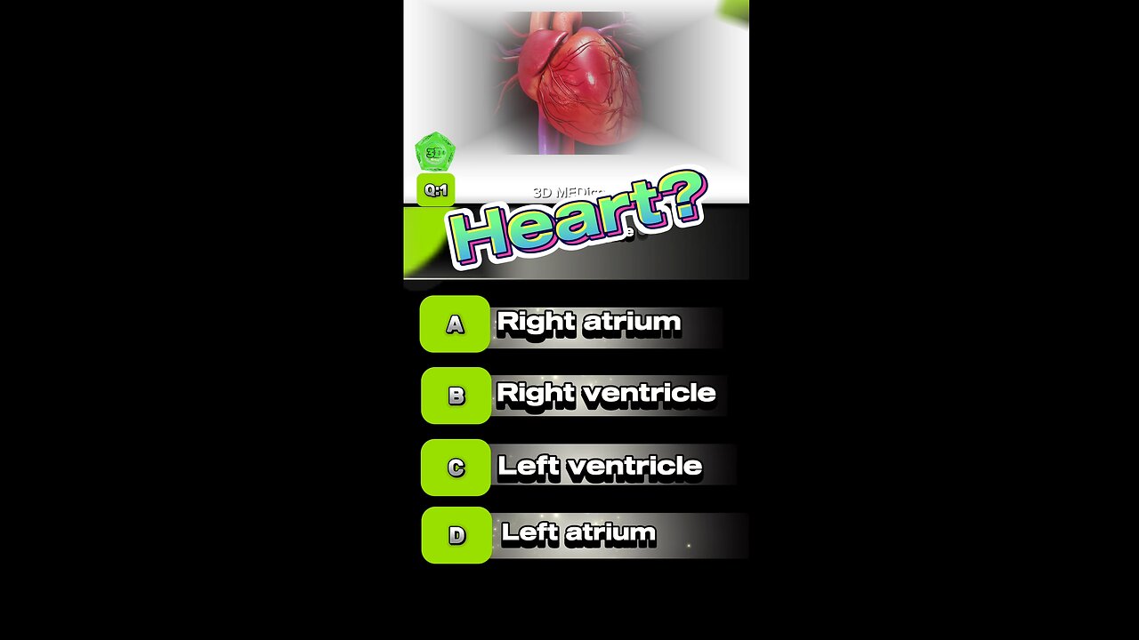 Heart anatomy question answers mcqs #heart #anatomy 🫀 #disease #drugs